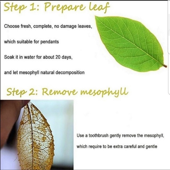 Natural Leaf Necklace W/ Sweater Chain - Picture 2 of 3